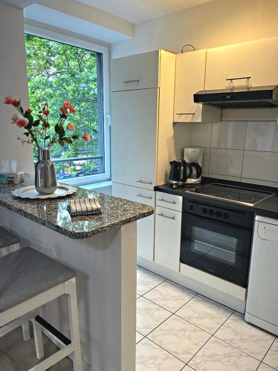 2  Zimmer-Wohnung frisch renoviert und m&ouml;bliert