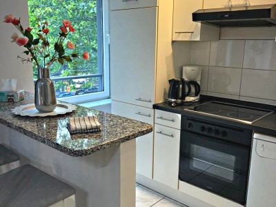 2  Zimmer-Wohnung frisch renoviert und m&ouml;bliert