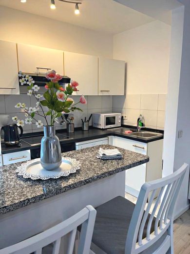 2  Zimmer-Wohnung frisch renoviert und m&ouml;bliert