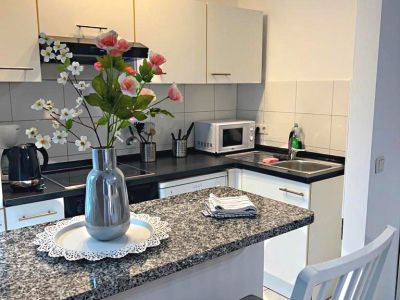 2  Zimmer-Wohnung frisch renoviert und m&ouml;bliert