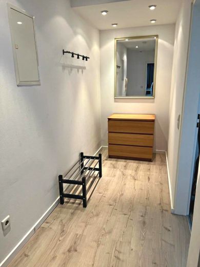 2  Zimmer-Wohnung frisch renoviert und m&ouml;bliert