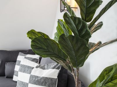 ***GEM&Uuml;TLICHE DESIGNER WOHNUNG AM VOLKSGARTEN***