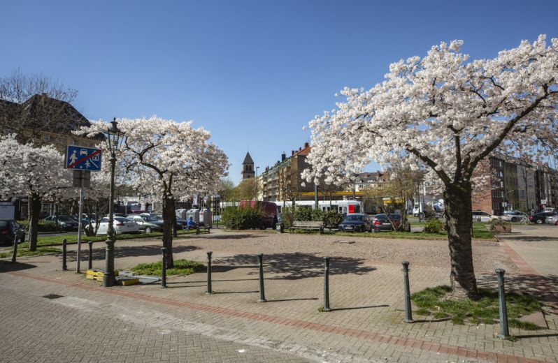 ***GEM&Uuml;TLICHE DESIGNER WOHNUNG AM VOLKSGARTEN***