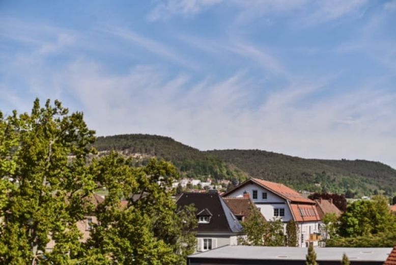 Terrassenwohnung - tolle Lage - im Herzen der Weinstra&szlig;e