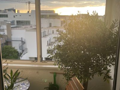 Erstbezug nach Sanierung! *BEFRISTET bis 31.12.2026 *Top m&ouml;bliertes Zimmer-in 2er WG mit Balkon