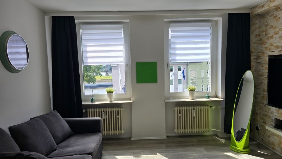 Sch&ouml;nes Apartment mit Rheinblick