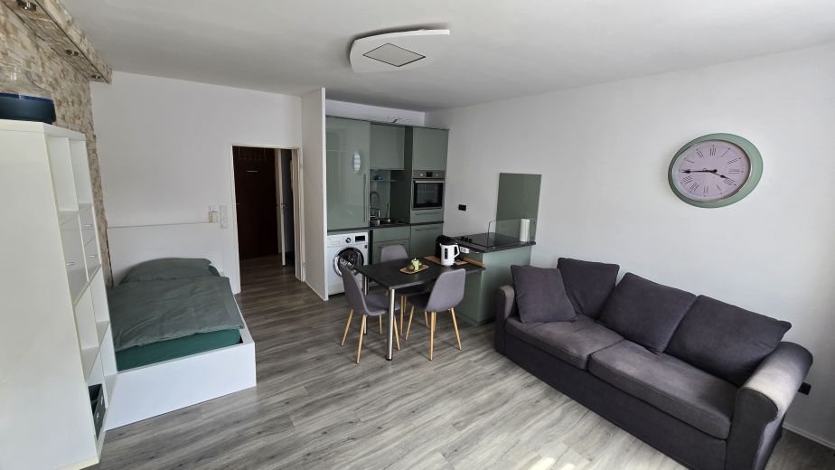 Sch&ouml;nes Apartment mit Rheinblick