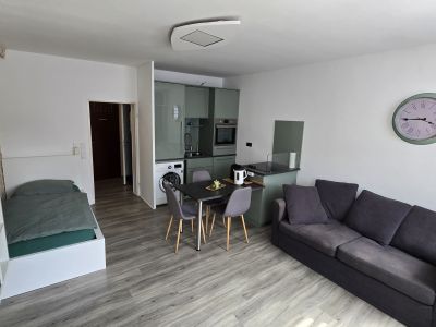 Sch&ouml;nes Apartment mit Rheinblick