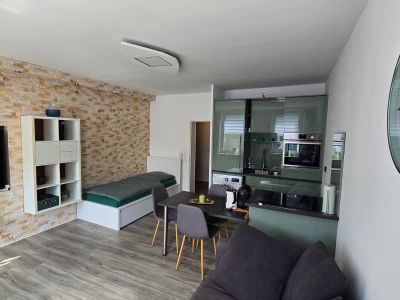 Sch&ouml;nes Apartment mit Rheinblick