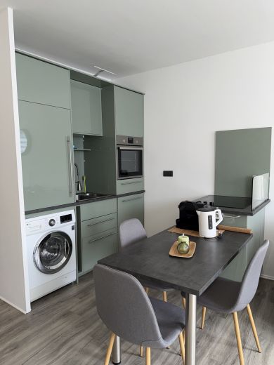 Sch&ouml;nes Apartment mit Rheinblick
