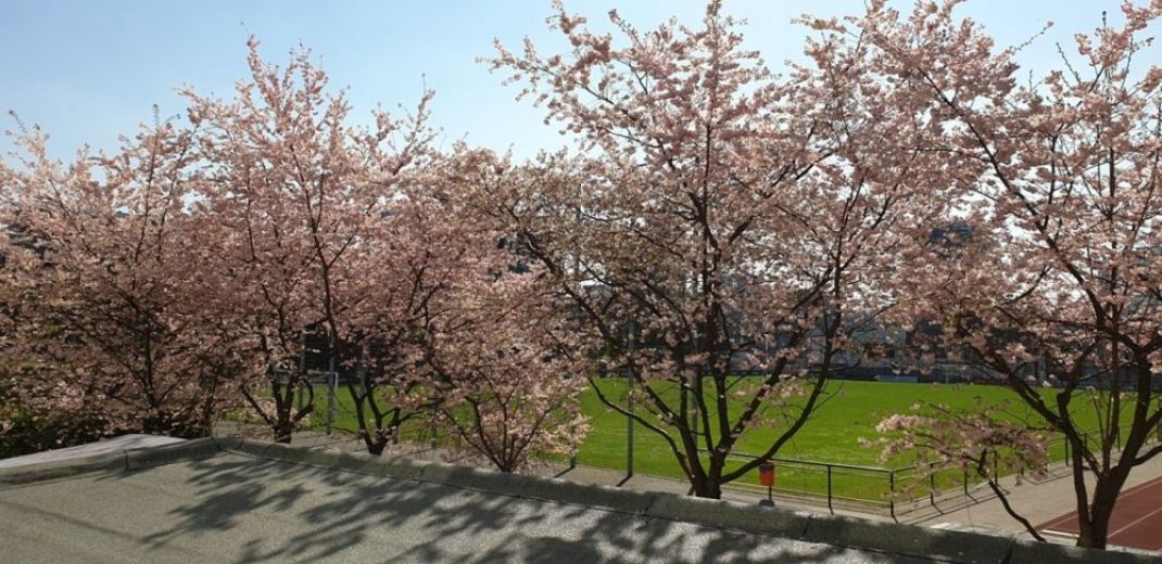 *****Gro&szlig;e Wohnung im sch&ouml;nen Stadtteil Pempelfort*****