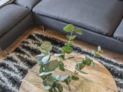 *** Designer-Apartment zum Wohlf&uuml;hlen***