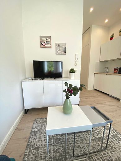 Sehr sch&ouml;n eingerichtetes 1-Zimmer Apartment in der Stadtmitte
