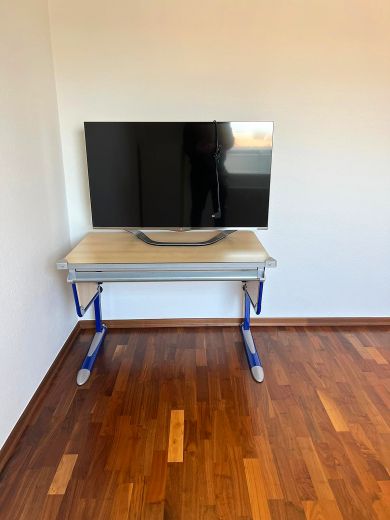 Helle 4,5 Zimmer-Penthaus-Wohnung mit Sonnenbalkon in Oberkassel/L&ouml;rick