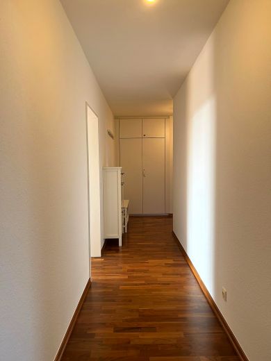 Helle 4,5 Zimmer-Penthaus-Wohnung mit Sonnenbalkon in Oberkassel/L&ouml;rick