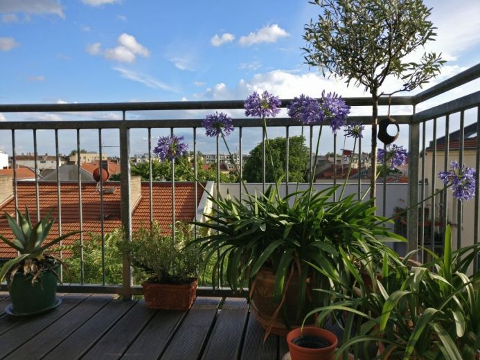 Stilvolles Dachgeschoss Loft mit Fernblick am Ostkreuz