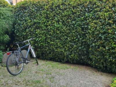 M&ouml;blierte 2-Zimmer-Wohnung mit Balkon in Rosenheim