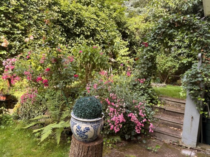 Erstbezug nach Sanierung! Sonnige Wohnung mit Balkon und Loggia in R&uuml;ttenscheid - N&auml;he Stern-