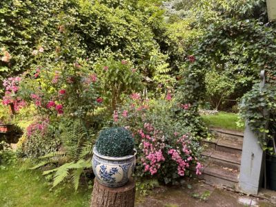 Erstbezug nach Sanierung! Sonnige Wohnung mit Balkon und Loggia in R&uuml;ttenscheid - N&auml;he Stern-