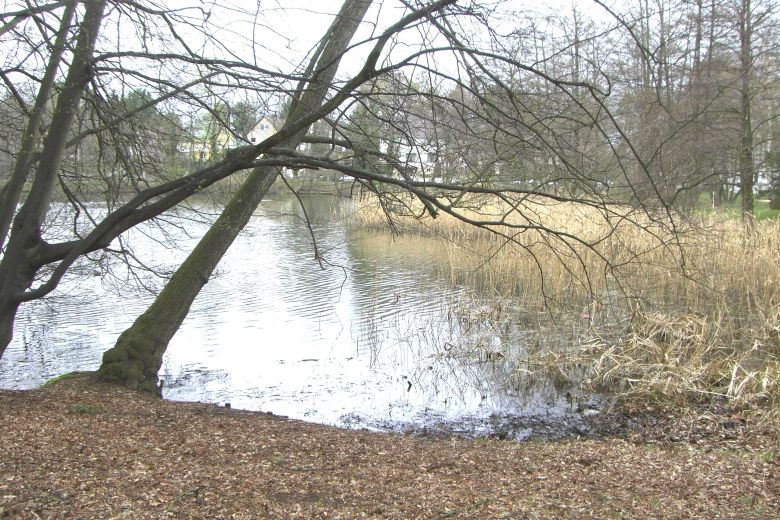 Gartenhaus - M&ouml;blierte 2-Zimmer Wohnung in Hermsdorf