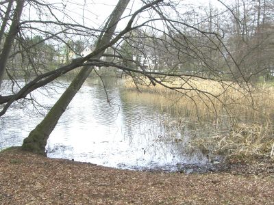 Gartenhaus - M&ouml;blierte 2-Zimmer Wohnung in Hermsdorf