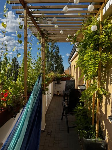 Zweizimmer-Wohnung 60m&sup2; / renoviert, ruhig & hell / 1. 9.- 20.11.2026