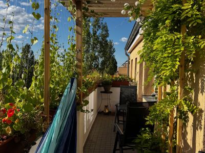 Zweizimmer-Wohnung 60m&sup2; / renoviert, ruhig & hell / 1. 9.- 20.11.2026