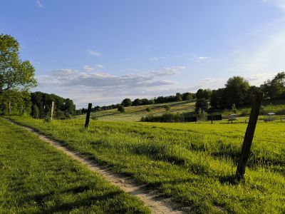 Helle 2,5 Zi. Dachwohnung in Gerresheim