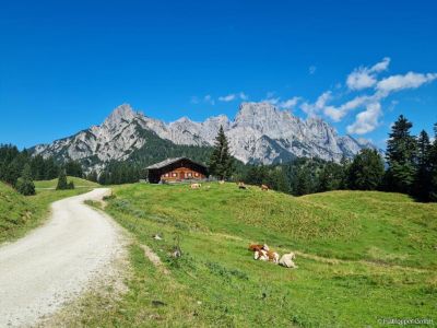M&ouml;blierte 3,5-Zimmer-Wohnung mit Balkon in Bernau am Chiemsee