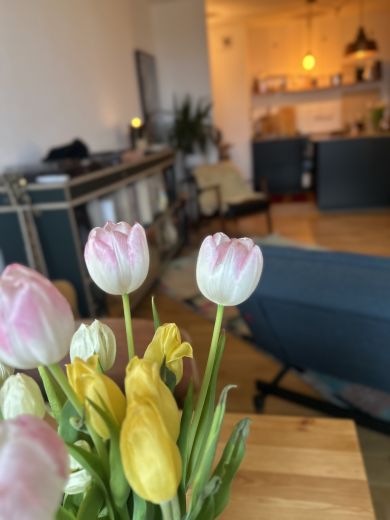 24.9.26 - 28.2.27 // m&ouml;bliert 2-Zimmer-Wohnung N&auml;he hermannstra&szlig;e, 11. Stock mit tollem Blick aufs Tempelhofer Feld