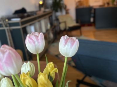 24.9.26 - 28.2.27 // m&ouml;bliert 2-Zimmer-Wohnung N&auml;he hermannstra&szlig;e, 11. Stock mit tollem Blick aufs Tempelhofer Feld