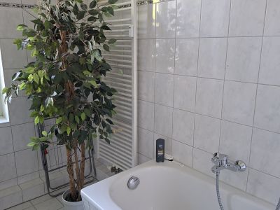 Gro&szlig;z&uuml;giges, m&ouml;bliertes 1 Zimmer Appartement 47m&sup2; zur tempor&auml;ren Untermiete