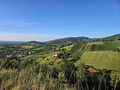 Wohnen auf Zeit im charmanten Altbau &ndash; ruhige & voll m&ouml;blierte 2-ZKB in B&uuml;hl-Neusatz