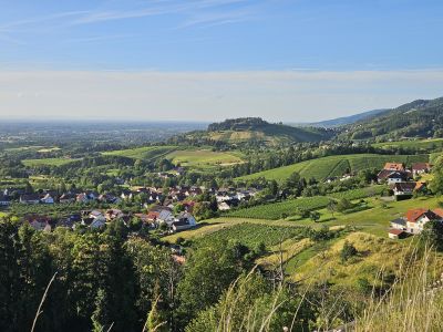 Wohnen auf Zeit im charmanten Altbau &ndash; ruhige & voll m&ouml;blierte 2-ZKB in B&uuml;hl-Neusatz