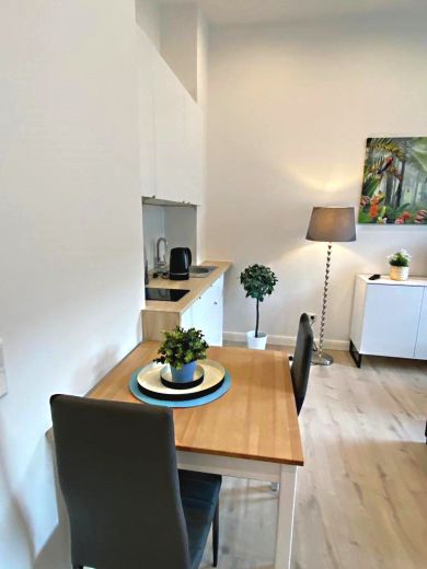 Sehr sch&ouml;n eingerichtetes 1-Zimmer Apartment in der Stadtmitte