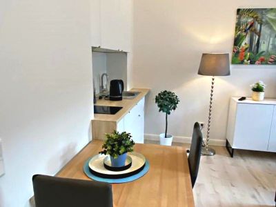 Sehr sch&ouml;n eingerichtetes 1-Zimmer Apartment in der Stadtmitte