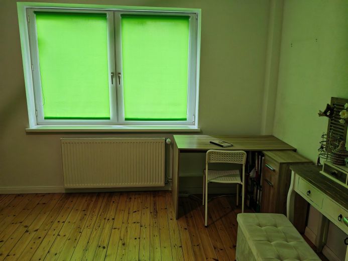 Helle m&ouml;blierte Wohnung im Gr&uuml;nen in Barmbek zur Zwischenmiete