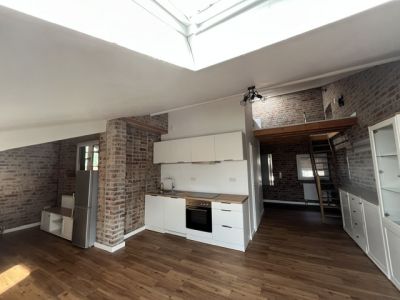 1 Zimmer m&ouml;bliert im Gr&uuml;nen (Pferdehof)