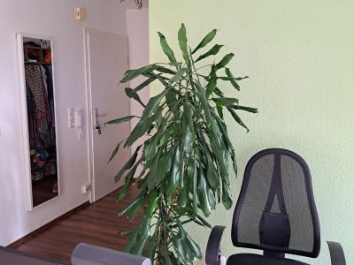Vollm&ouml;blierte 3-Zi.-Wohnung mit Balkon in L&uuml;neburg &ndash; auf Zeit