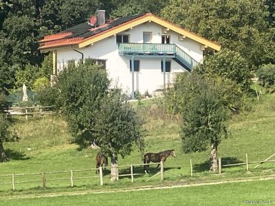 M&ouml;blierte 3-Zimmer-Dachgeschosswohnung in Eggst&auml;tt