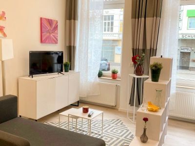 Gem&uuml;tliches 1-Zimmer Apartment in der Stadtmitte