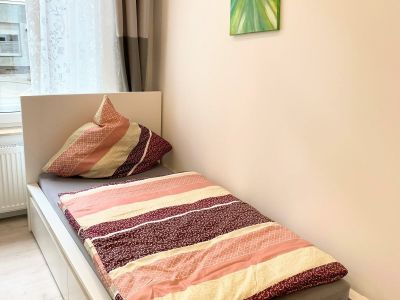 Gem&uuml;tliches 1-Zimmer Apartment in der Stadtmitte