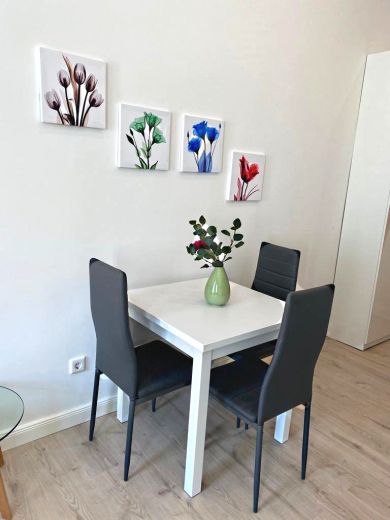 Business-Apartment 1,5-Zimmer in der Stadtmitte