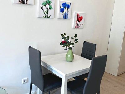 Business-Apartment 1,5-Zimmer in der Stadtmitte