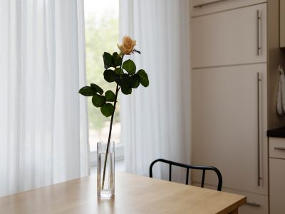M&ouml;blierte 1,5-Zimmer-Altbauwohnung am Flo&szlig;platz &ndash; 5 m Decken & Aufzug