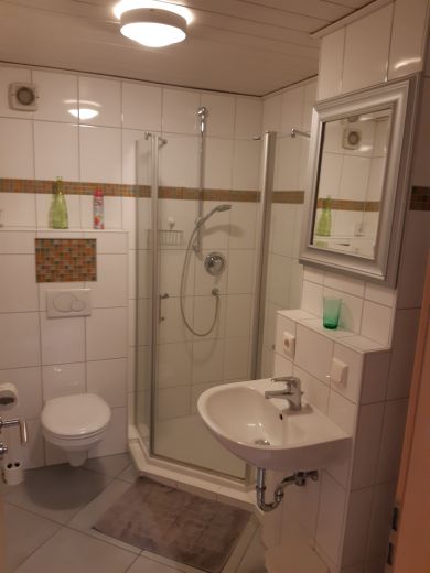 Heidelberg - Gesamte Unterkunft, 2 ZKB, m&ouml;bliert