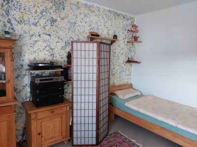 Wohn-Schlafzimmer 1