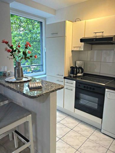 2  Zimmer-Wohnung frisch renoviert und m&ouml;bliert