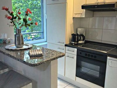 2  Zimmer-Wohnung frisch renoviert und m&ouml;bliert